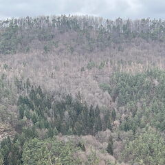 23-03-05 10-49-32 4738